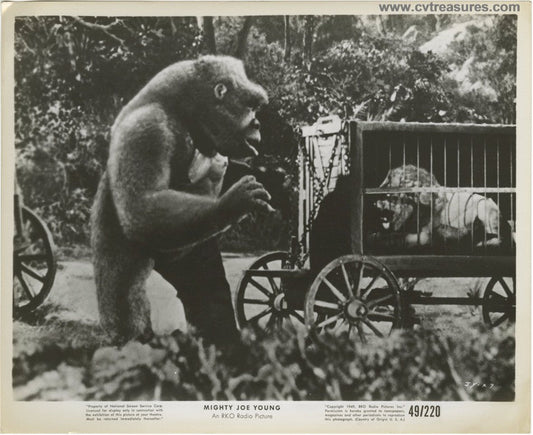 MIGHTY JOE YOUNG Original Vintage photo still Lion