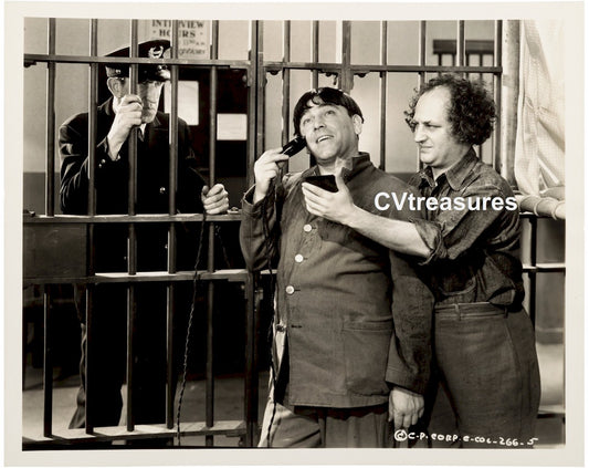 3 Dumb Clucks Three Stooges Original Authentic Vintage Columbia Short TYPE I Photo Still CURLY 3