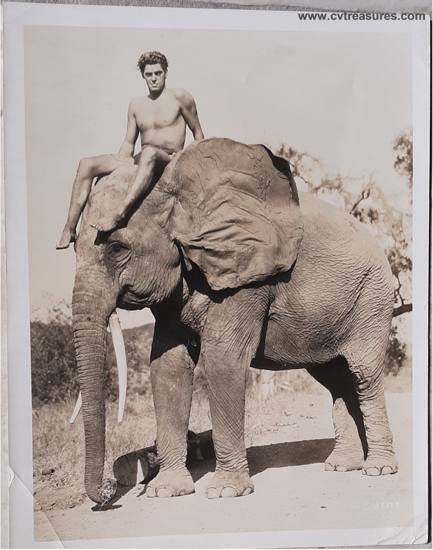 Tarzan, Johnny Weissmuller vintage photo still 1932