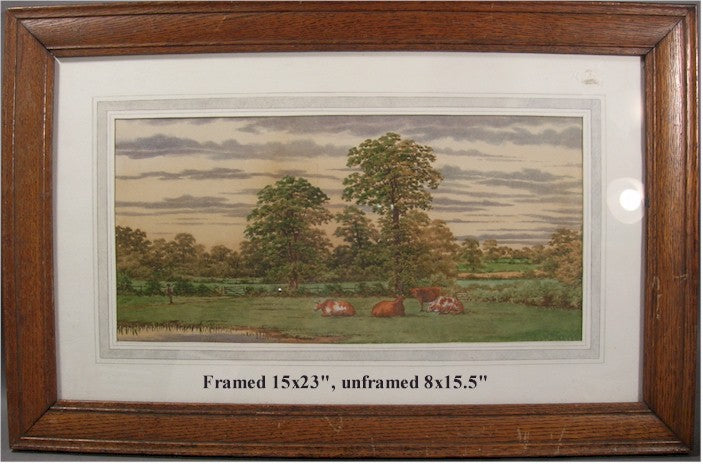 Vintage Cows and Picturesque Scene Late 19th early 20th Century