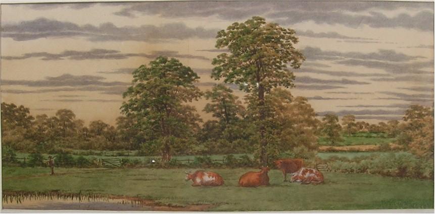 Vintage Cows and Picturesque Scene Late 19th early 20th Century